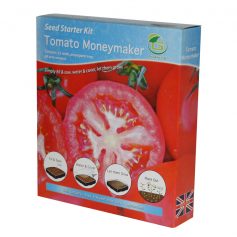 tomaat moneymaker