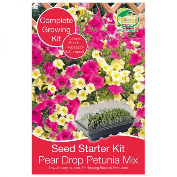 petunia pear drop mix starterkit