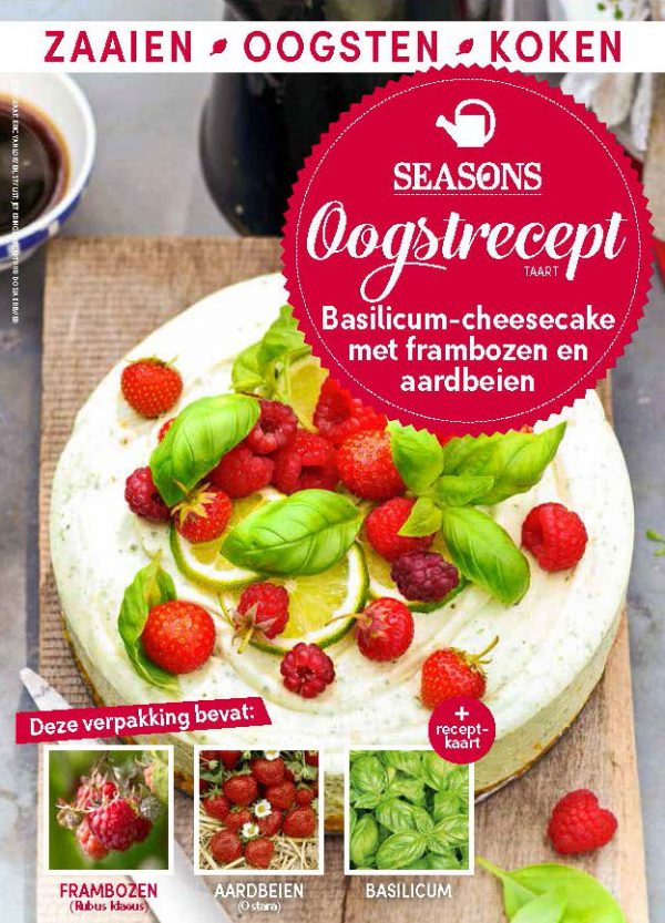 seasons oogstrecept basilicum-cheesecake met frambozen en aardbeien