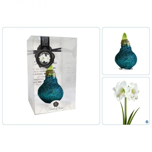 Touch of Wax Amaryllis Ocean Glitter Glamour (wit)